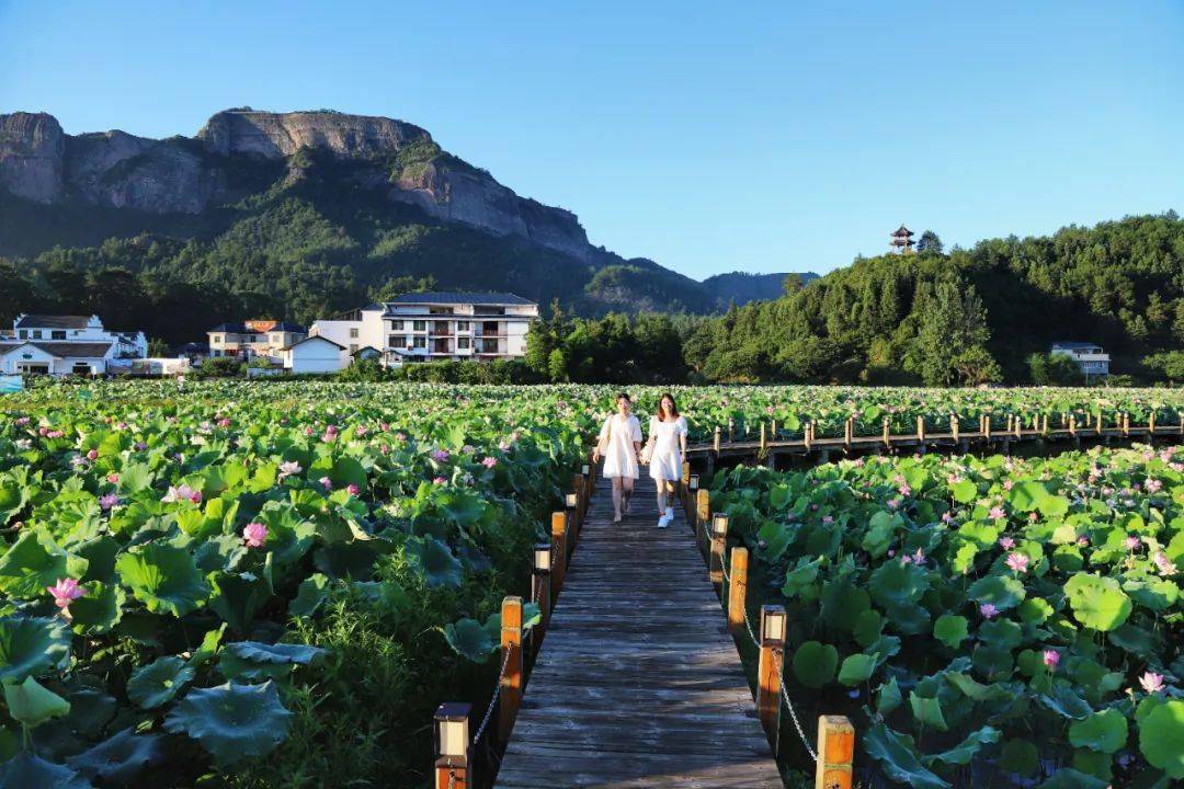 【暑假游】抓住7月的尾巴"荷"你"藕"遇石城通天寨_荷花