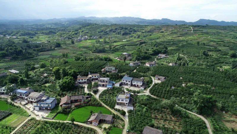 眉山这些镇入围 →_改革