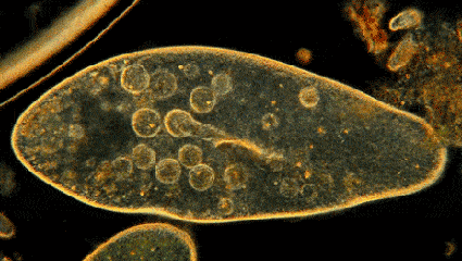 设计|每到夏天多少男人的愿望是“胯下生风”?