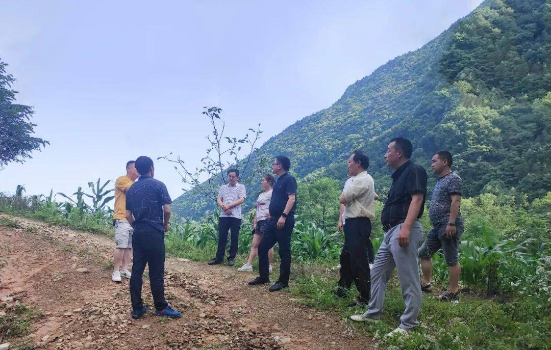 万源市紫溪乡:稳步推进"三大活动"落地见效