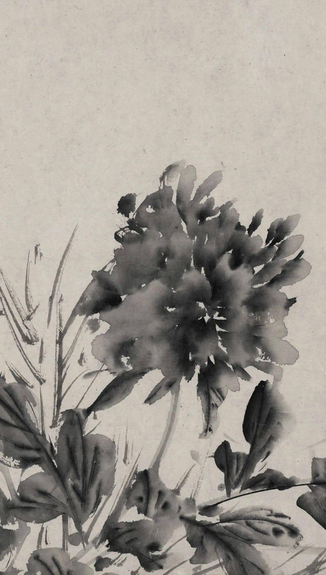 徐渭的墨花这才叫玩水墨