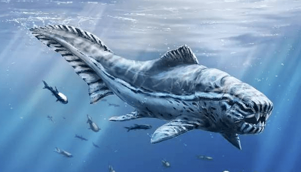 史前最大的海洋生物图片