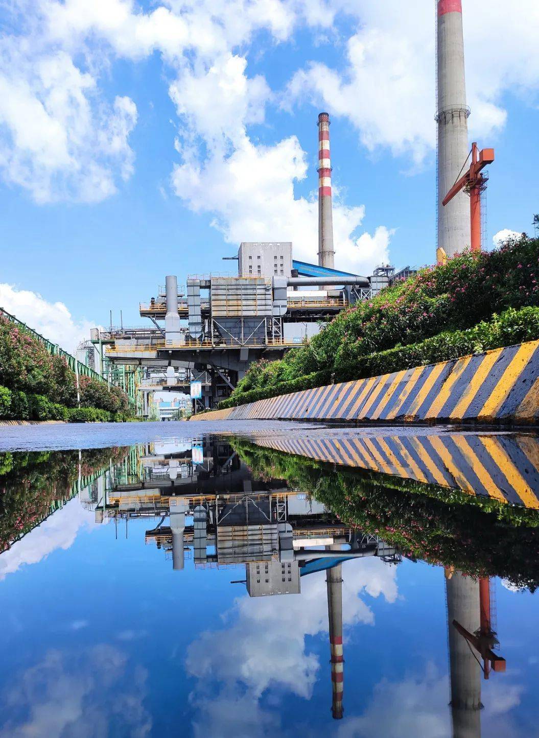 大片既视感他们用镜头向美丽沙钢表白