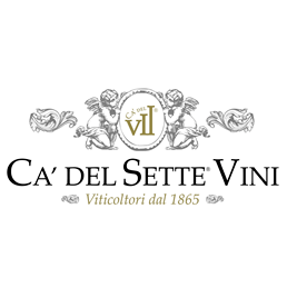 Wine|170家酒庄,意大利一出手就是王炸