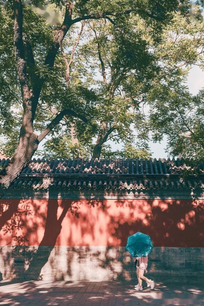 中国七个地区女生性格大比拼 你最想娶哪里的姑娘 生活