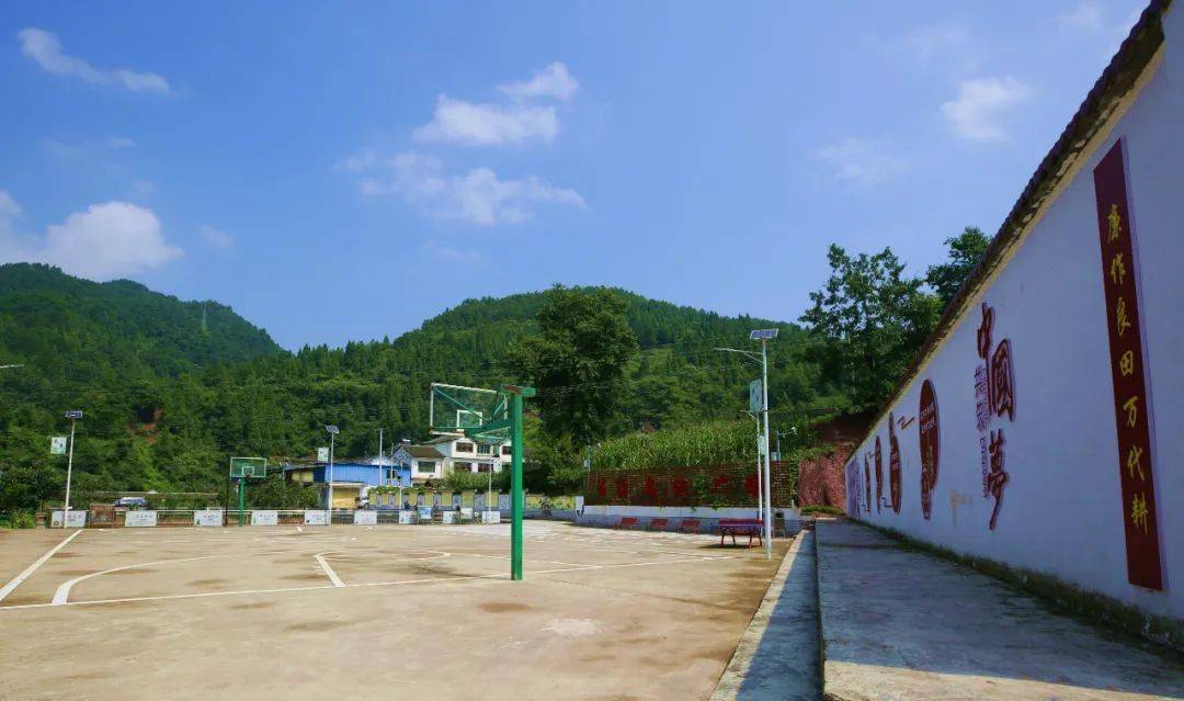 《普安社区》金沙县清池镇普安社区立足实际,以产业振兴为主要抓手