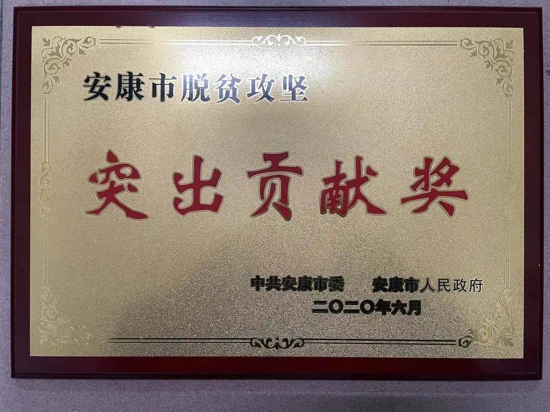 全省先进基层党组织——平利县长安镇委员会