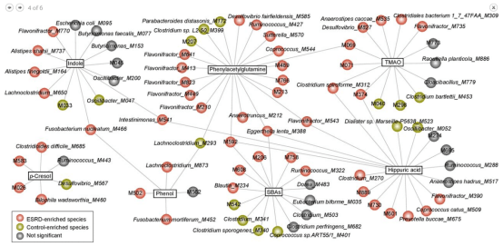 肠道|[文献分享]宏基因组+代谢组解析肠道菌群影响人类和啮齿动物的肾衰竭的作用机制