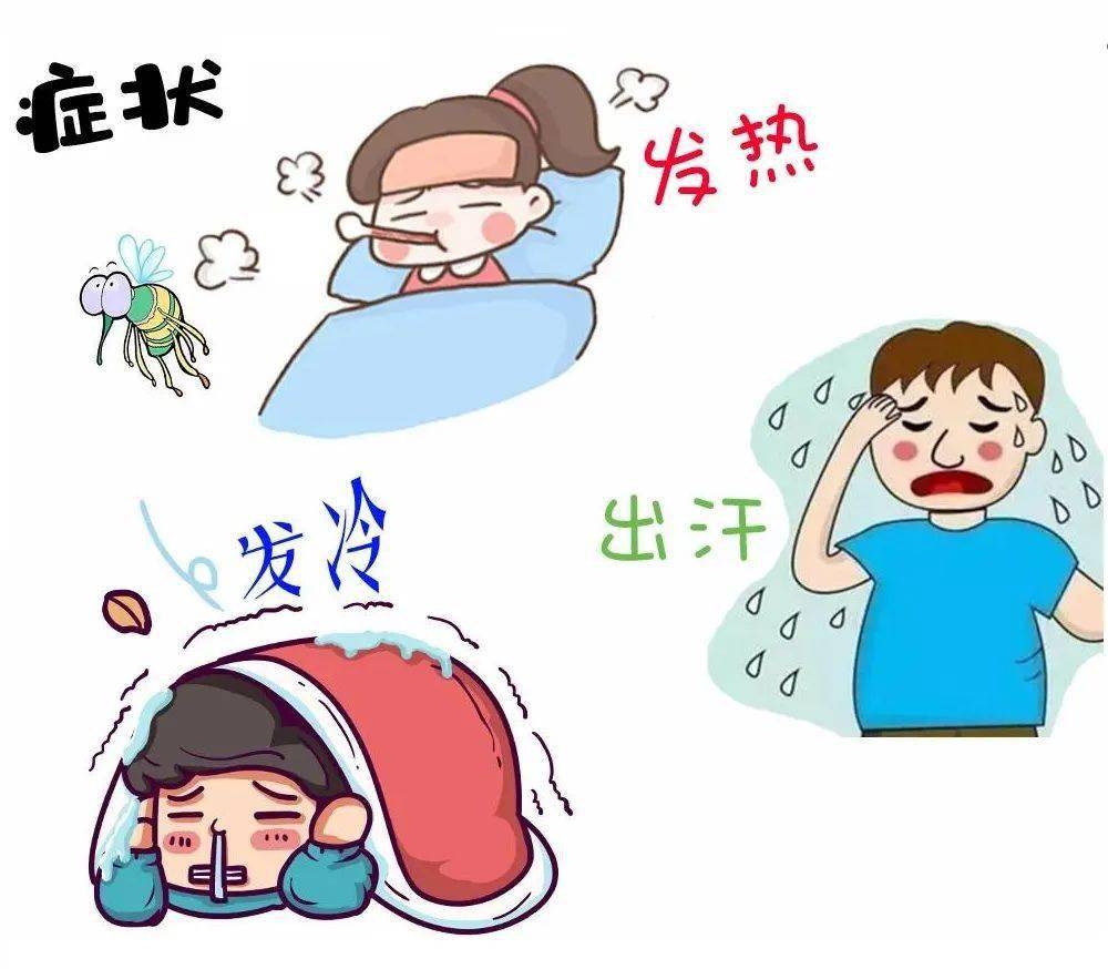 本病主要表现为周期性规律发作,全身发冷,发热,多汗.