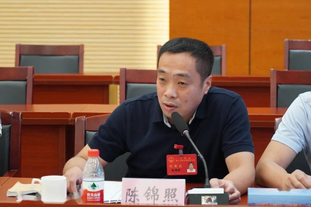 代表主题活动大朗人大镇长约请人大代表广纳民智谋发展