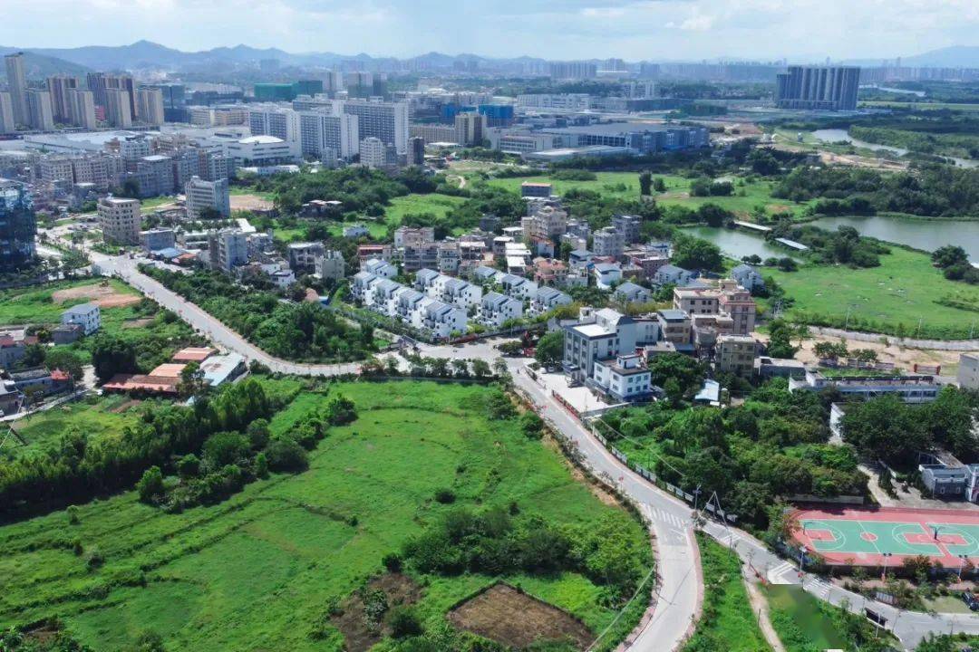 乡村振兴进行时看鹿颈村如何冲出重围