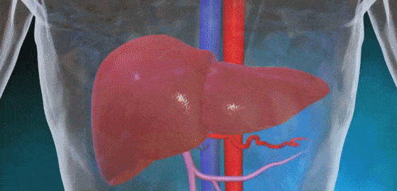 560_270gif 动态图 动图