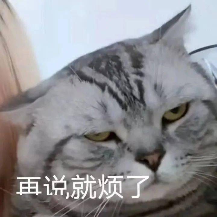 f53e542efc2c4a9a9f7f982dbfd8b612.jpeg