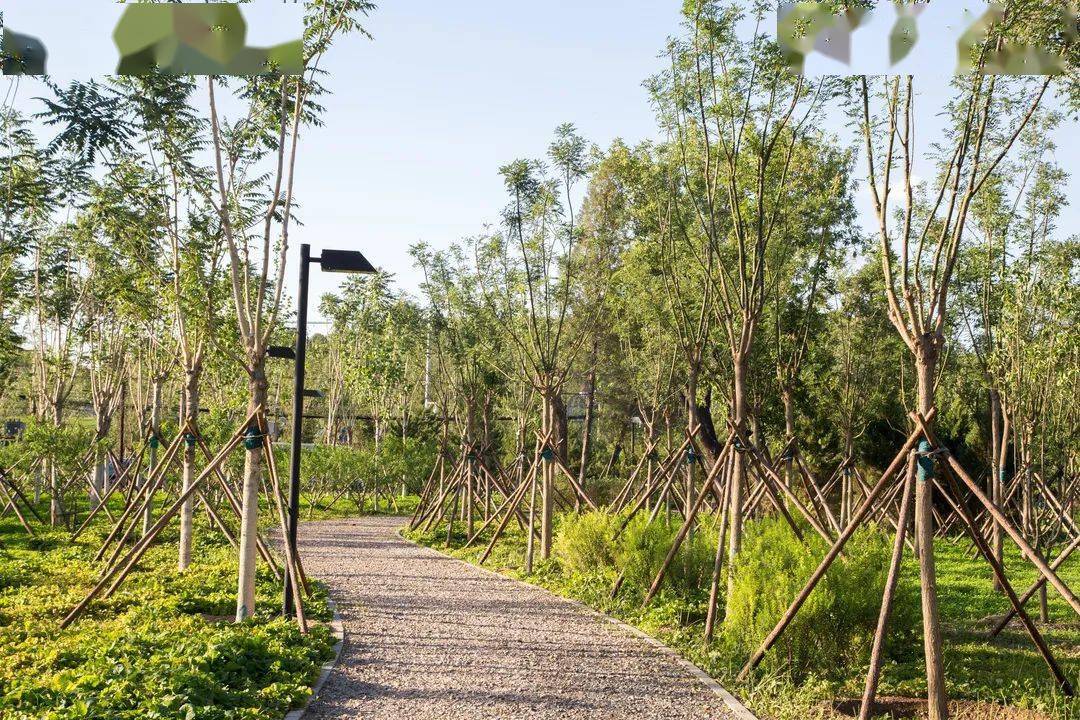 夏日,来这座森林公园——功德寺公园寻一片清凉!