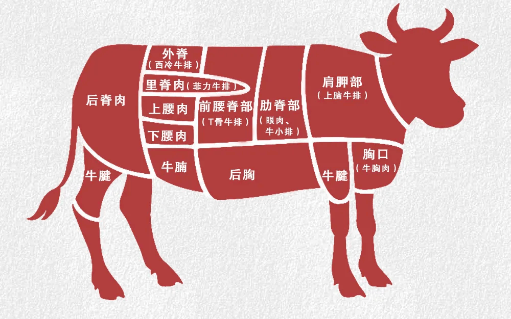 美国牛肉分割图高清图片