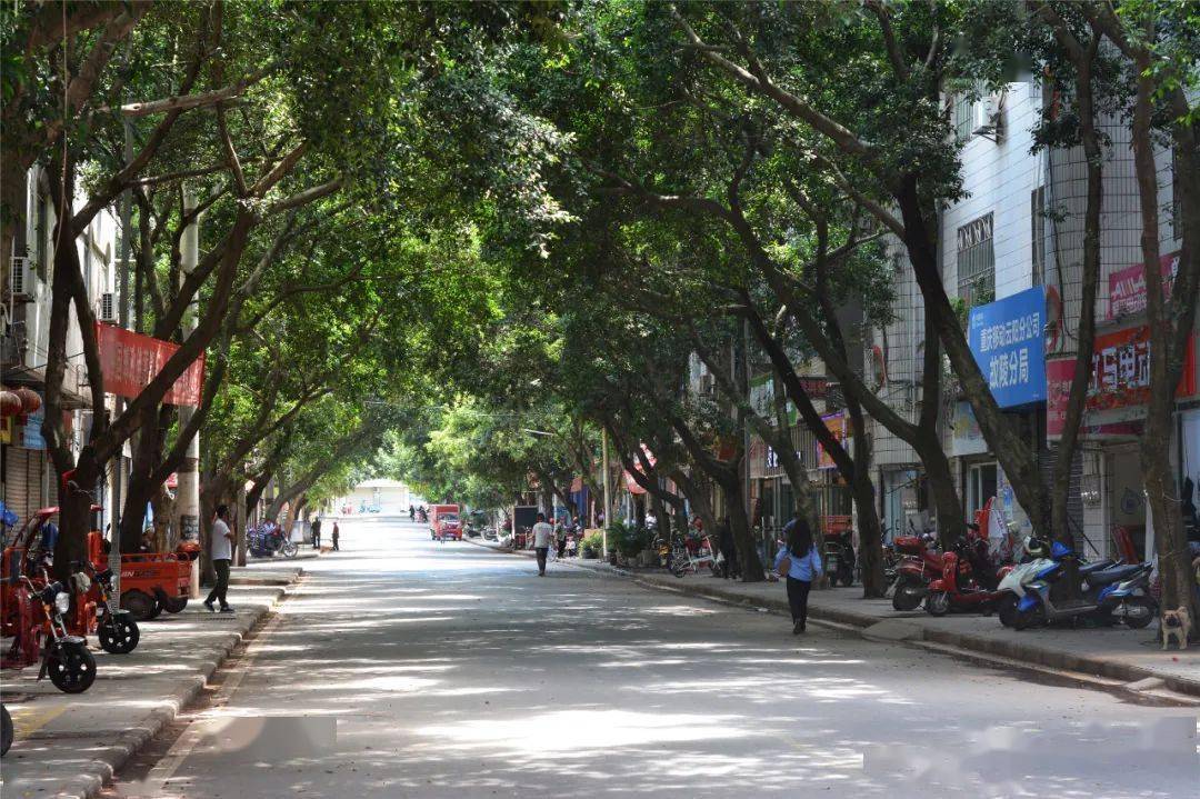 我为群众办实事故陵镇用心学党史真心办实事