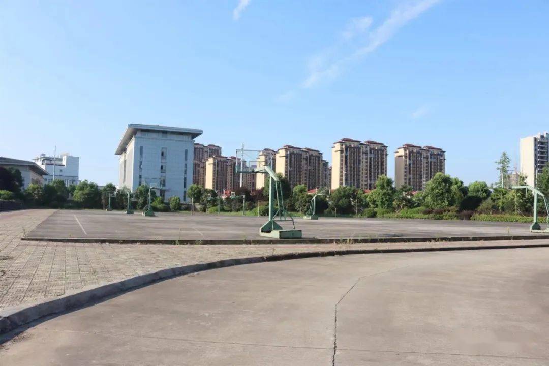 "好老师"征文|致敬枞阳三中全体教师