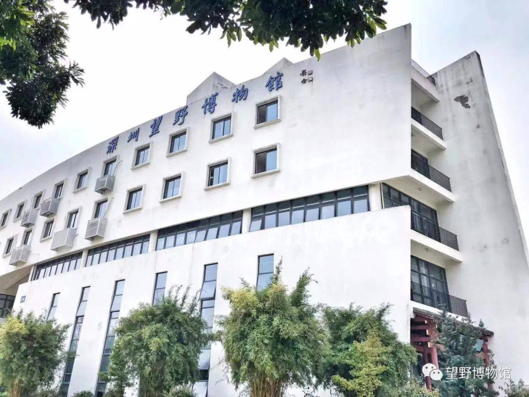 暑假不离深龙华有很多好玩的重点还免费