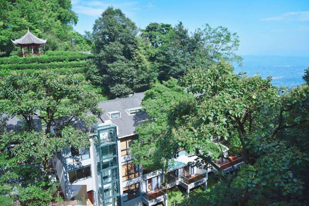 蒙顶山景区银杏别院雅安文旅集团.