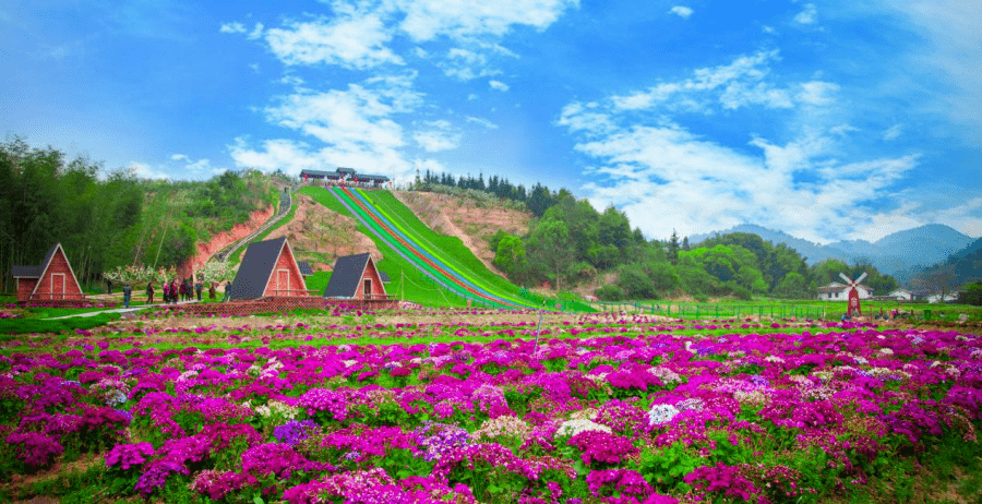 相约广昌香花湾,寻找夜空中最亮的星_景区