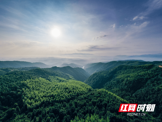 钟水|湖南蓝山：百叠岭上风光美（图）