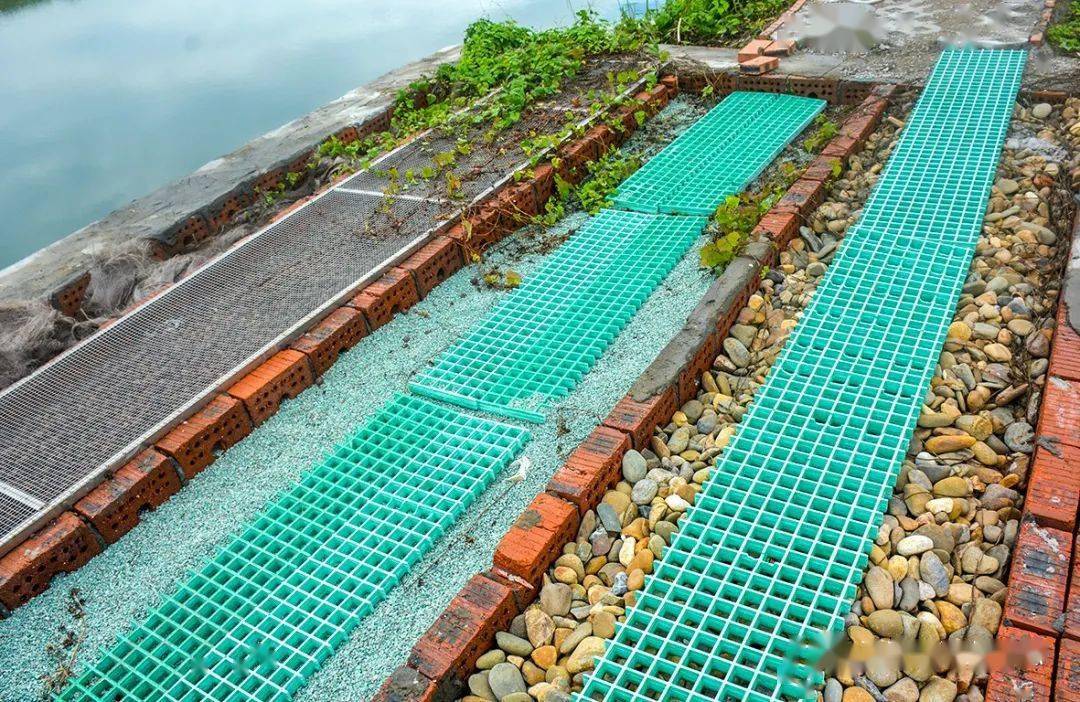 据悉,西樵镇山根生态养殖池塘标准化改造项目从2019年开展,在2020年