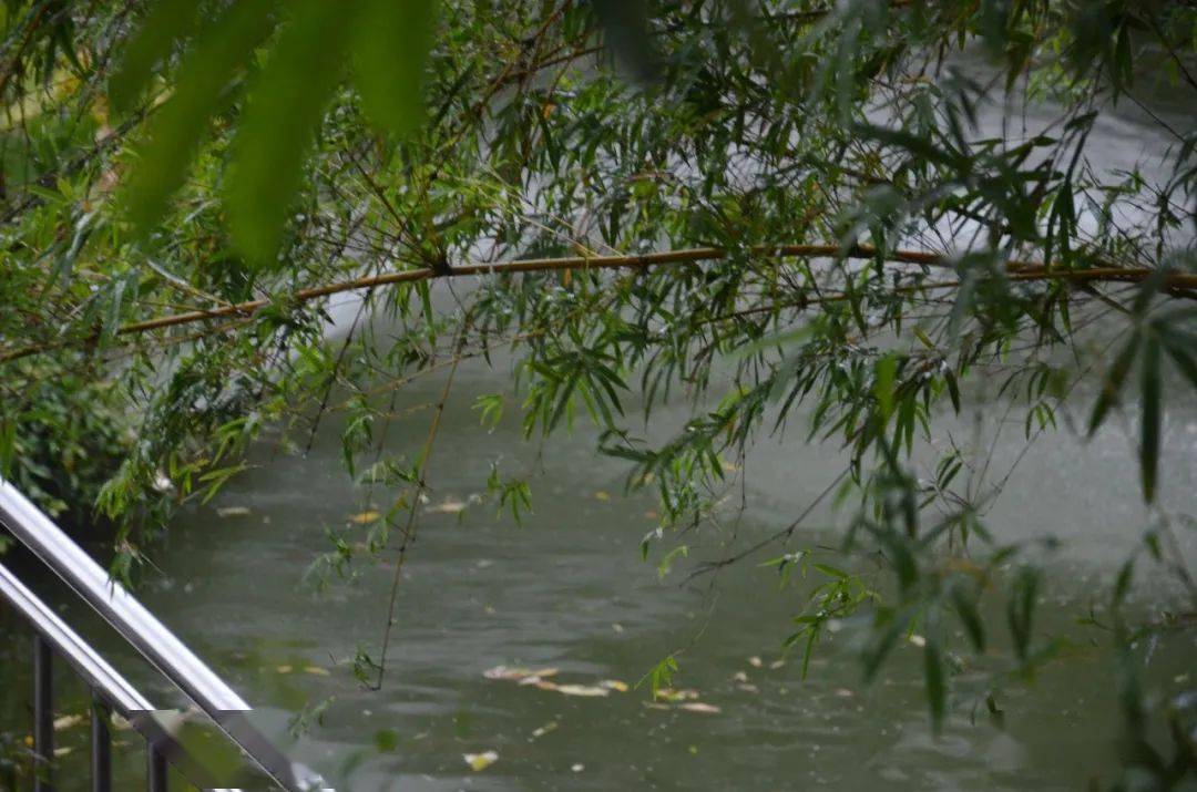 一番好景,莆院"雨"你相约