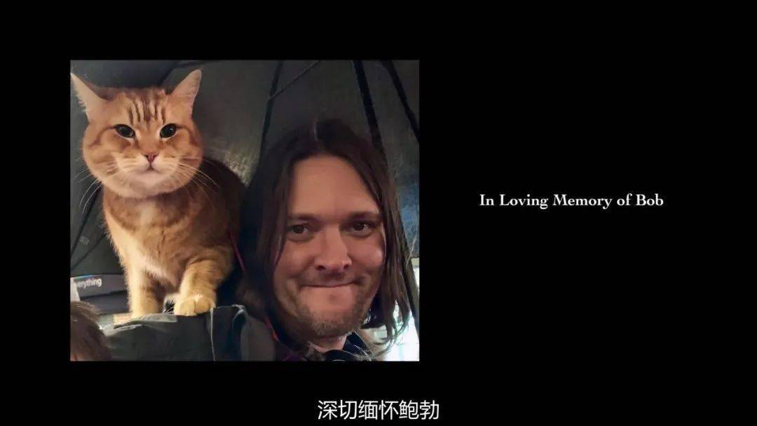 86流浪猫鲍勃2鲍勃的礼物鲍勃猫延续最后的温暖