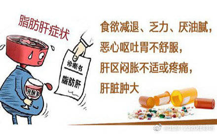 磷脂|预防脂肪肝 饮食有讲究