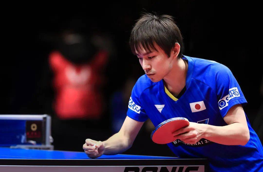 同为日本球员,张本和泥洼缘何在中国冰火两重天?