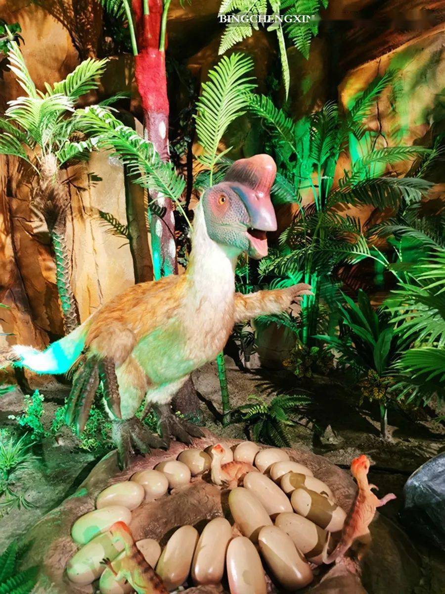 恐龙来了北极狼也来了如何玩嗨哈尔滨极地公园