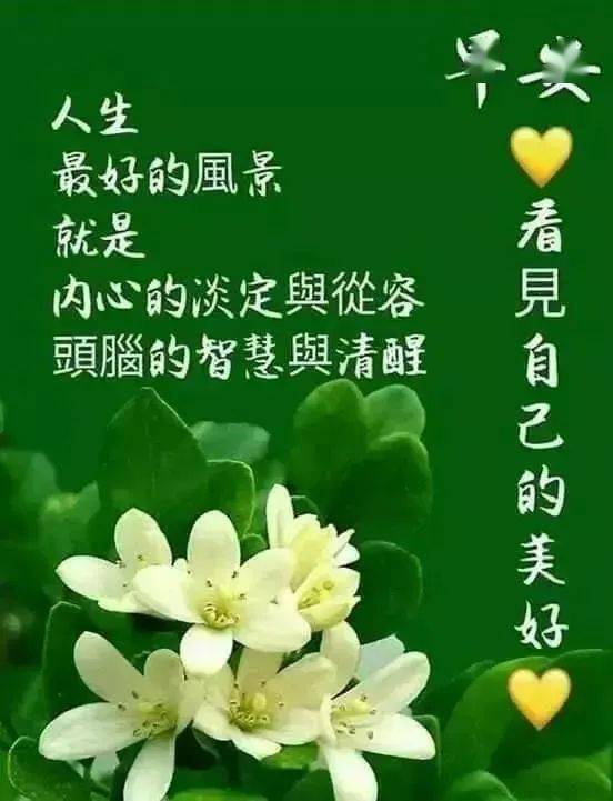 怎么才能让自己不那么心烦 7c6b6177993548d08385805246cdd53e.jpeg