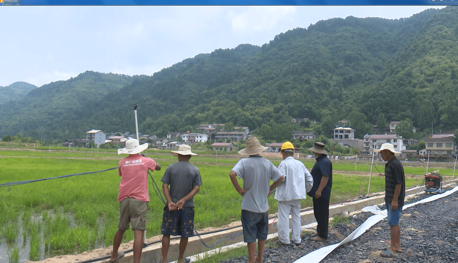 沅陵苗家香米基地抗旱保苗