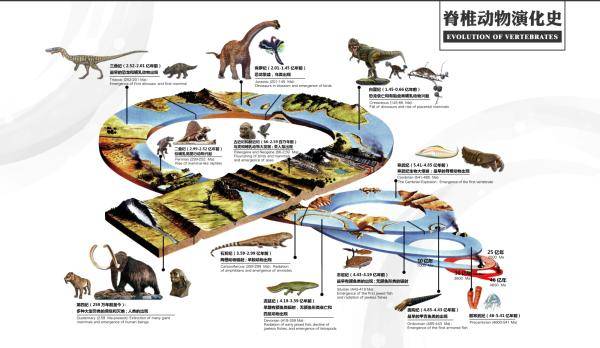 古代人鱼兽进化路线图片