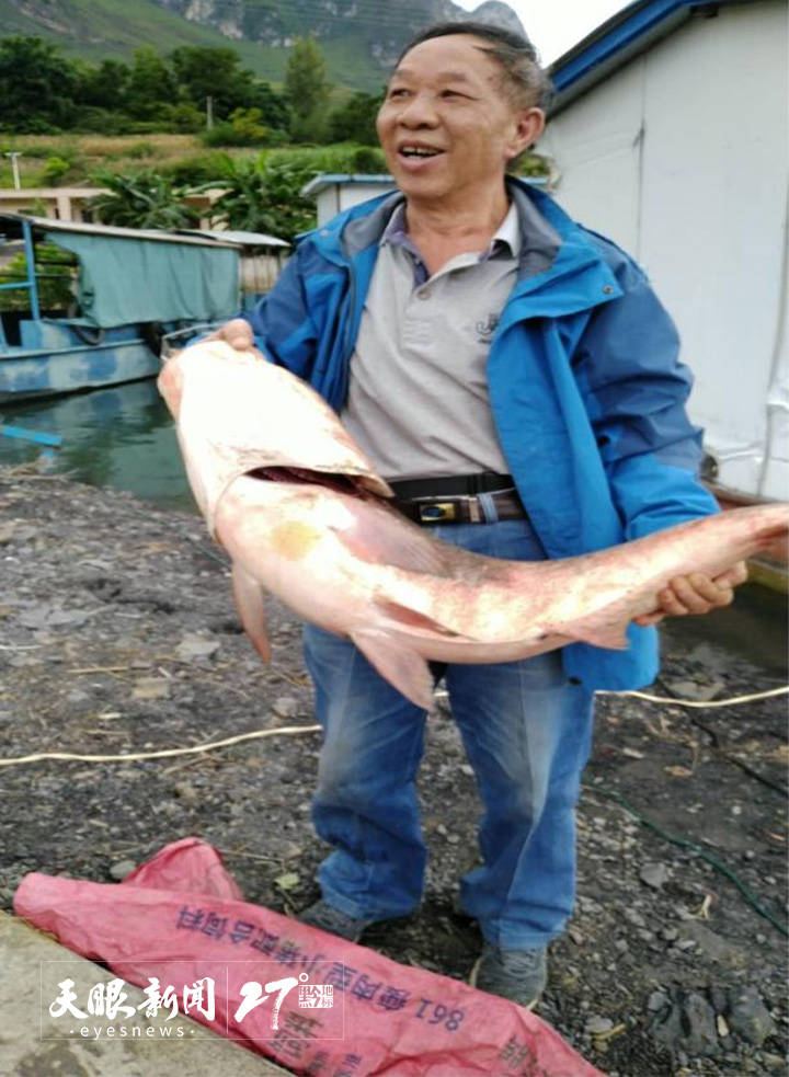 这次牂牁江钓获大鱼之旅,勾起我痴迷钓鱼近60年的人生回眸:今年我已经