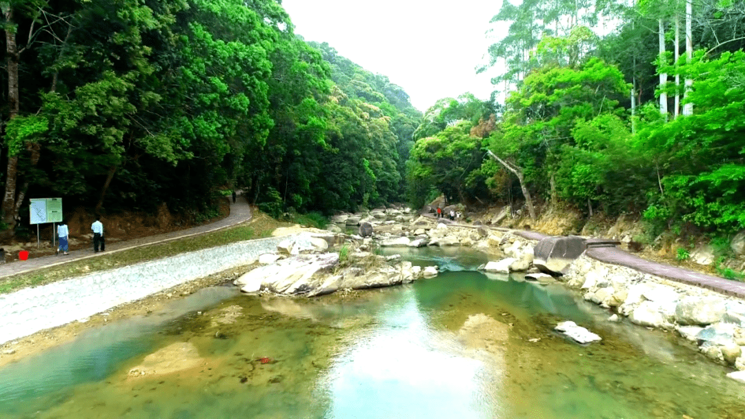 五华这项数据全国第一!_五华县