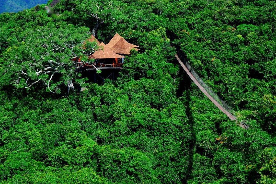 亚龙湾热带天堂森林公园,位于海南省三亚市亚龙湾国家旅游度假区,是