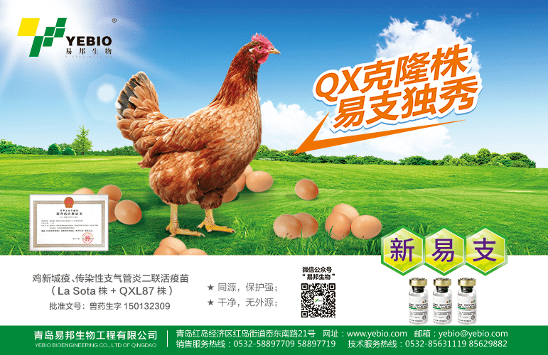 养禽不亏养猪拖累温氏立华上半年亏损圣农盈利29亿