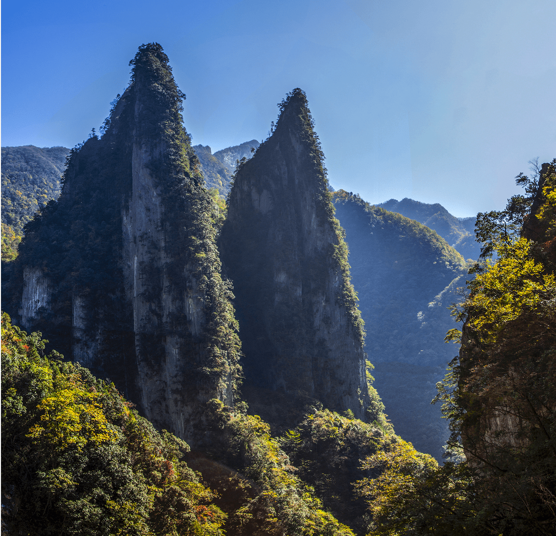 巫山县|护好世界自然遗产，让游客感受魅力三峡、美丽五里坡