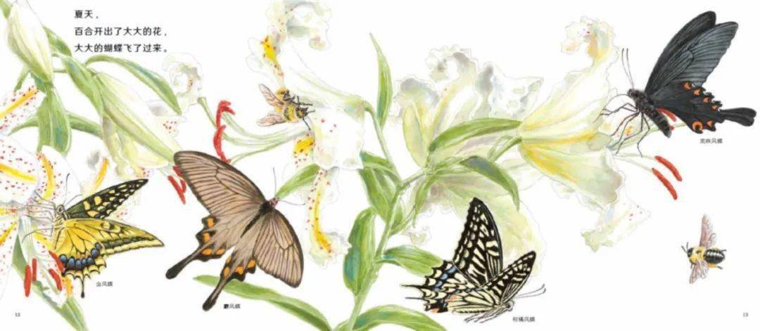 大家一直追问的科学之友 21年新系列全家桶上线 世界