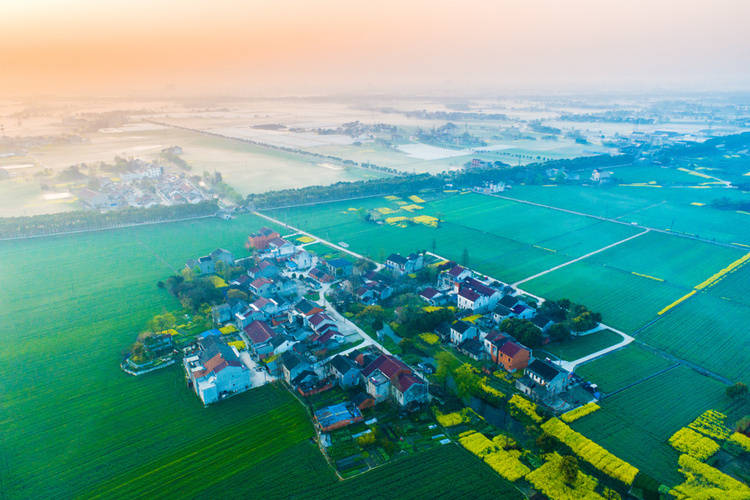 生态荷花湾(熊新杰 摄)近年来,江苏省宜兴市和桥镇始终把生态环保作为