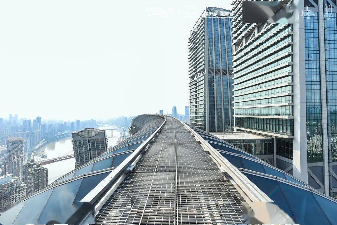 在250米高空云中漫步是怎样的体验