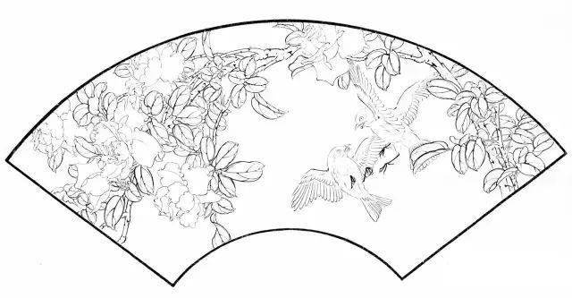 国画教程月季花的白描写生技法月季花图谱