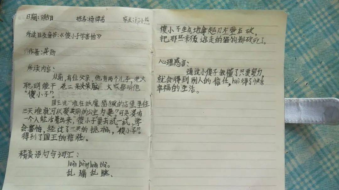 綠色沁源讀書打卡滴天天讀書活動優秀讀書筆記展示來了3