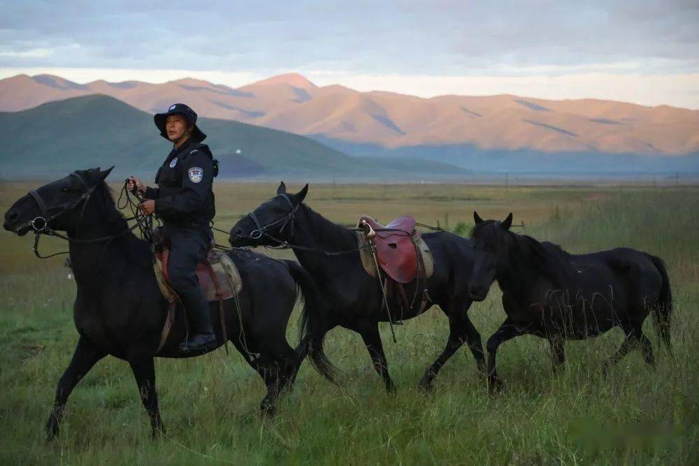 草原骑警:牧民安全的守护者