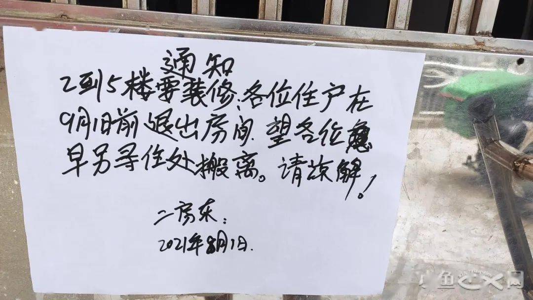 进行|“今早路过厦门这里，水上一片白花花的全是死鱼，好吓人，还看到有人...”