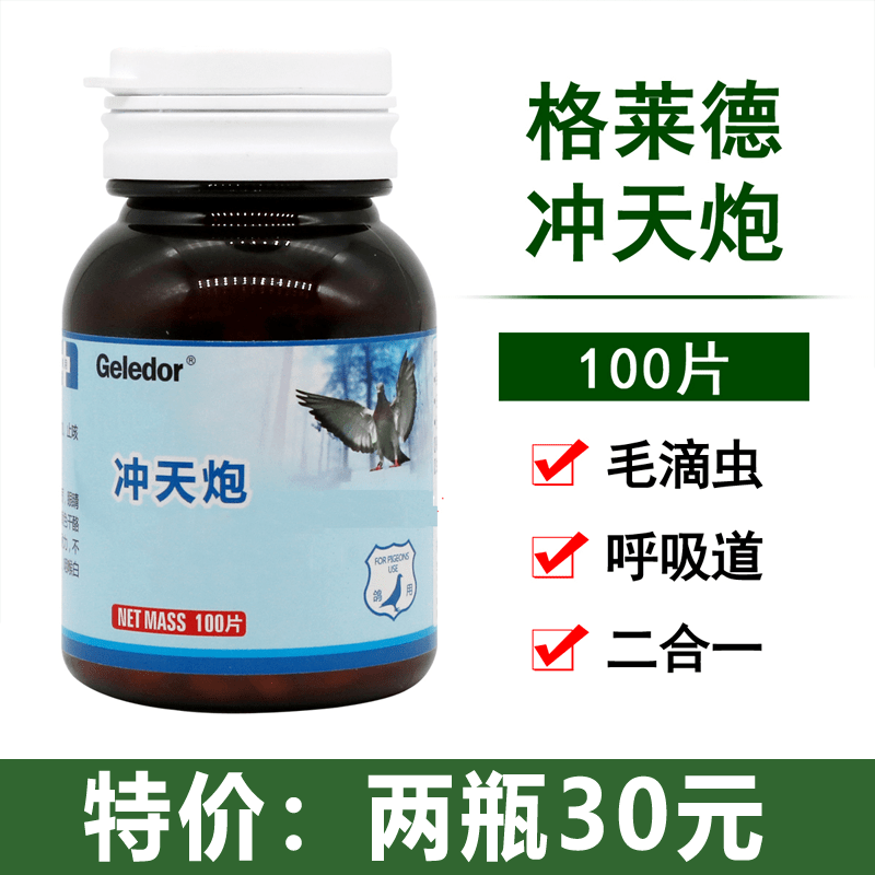 它是盖比五大名鸽最强种公之一鲁迪