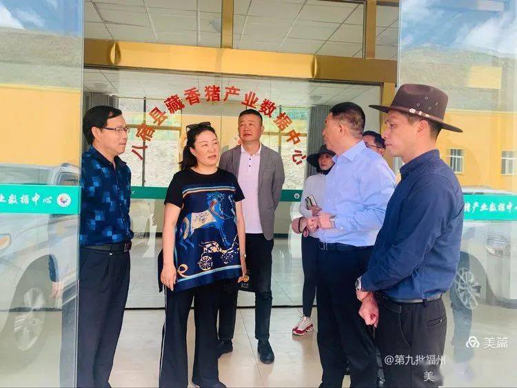 八宿县委副书记县长德嘎旺姆调研藏香猪产业基地建设情况