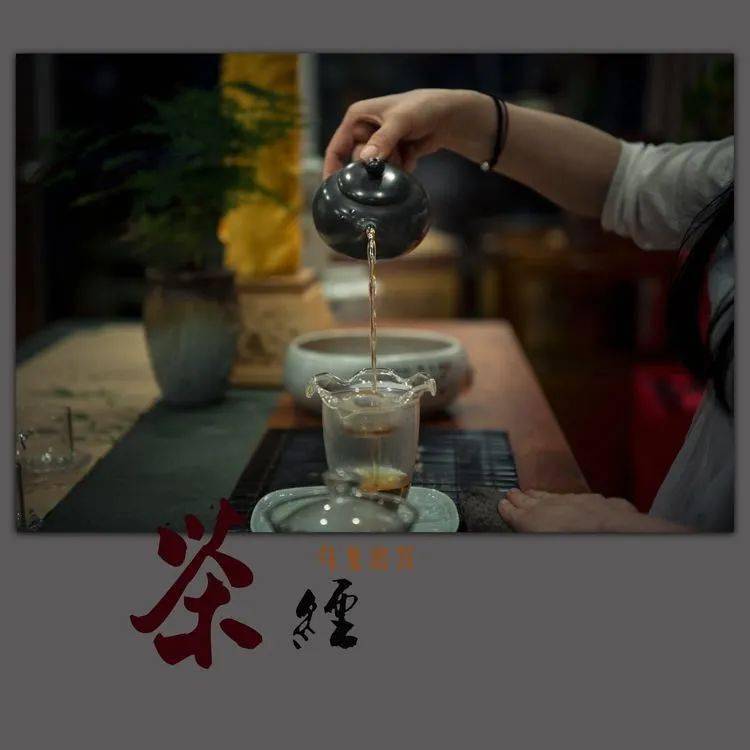 【禪茶一味】朱明飛/茶經