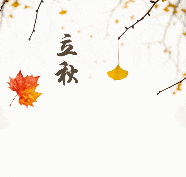 8月7日早晨好动态表情图片立秋最新群发早上好表情问候图片动态